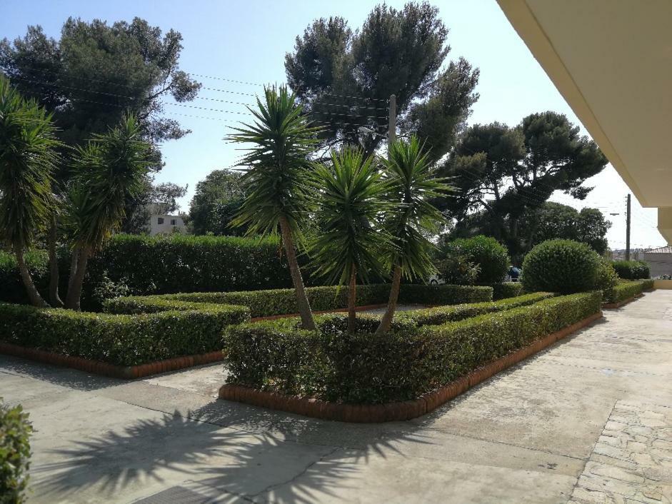 Appartement 2 Pieces Avec Balcon تولون المظهر الخارجي الصورة